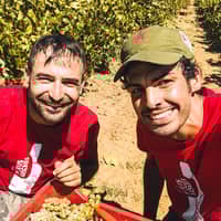 Azienda Agricola Elios