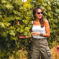 Vignudelli Wines