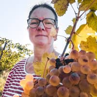 winemaker in wineyard travaglina Travaglina