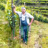 Nicolodi Alfio