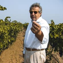 Elio Taurino & Massimo Tripaldi