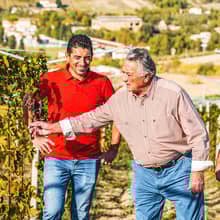 Domenico, Aldo & Roberto