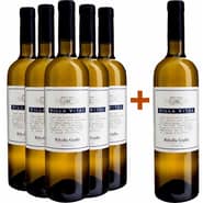 5+1 Ribolla Gialla Venezia Giulia IGP