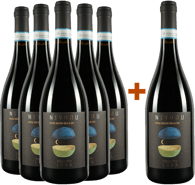 5+1 Nivuru Sicilia DOC