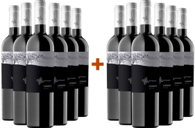 6+6 Catarratto Sicilia DOC BIO