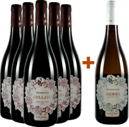 5+1 Primitivo & Verdeca/Chardonnay BIO