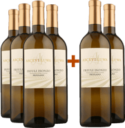 4+2 Friulano Friuli Isonzo DOC