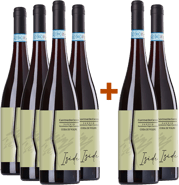 4+2 Iside Coda di Volpe del Sannio DOC