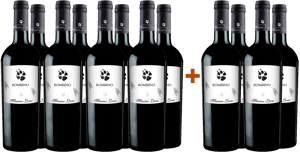 8+4 Bombino Bianco Puglia IGP