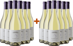 6+6 Parhelia Passerina Terre D'abruzzo IGP