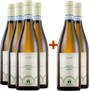 4+2 Saia Piemonte DOC