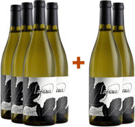 4+2 Gavi del comune di Gavi DOCG - Laficaia