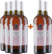 4+2 Lacci Negroamaro Rosato Salento IGP