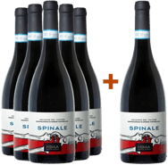 5+1 "Spinale" Aglianico del Vulture DOC