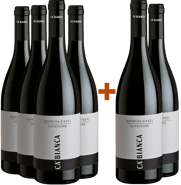 4+2 Barbera d'Asti Superiore DOCG