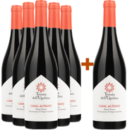 5+1 Casal del Piano Rosso Piceno DOC