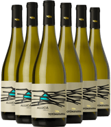 Tenute Navarra Box Degustazione Vini Bianchi