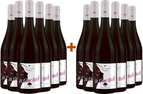 6+6 La Dame Noir BIO