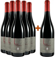 5+1 Le Barbatelle Lacrima Morro D'alba DOC 