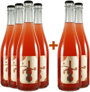 4+2 Universi Paralleli