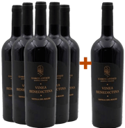 5+1 Vinea Benedictina Tintilia del Molise DOC