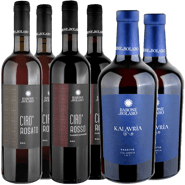 Barone di Bolaro Box Degustazione 