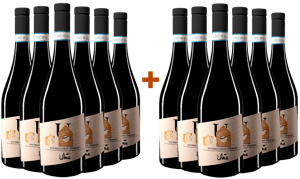 Promo 2020 Montepulciano DOC BIO