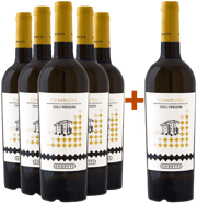 5+1 Grechetto Colli Perugini DOC