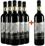 5+1 I Camponi Veneto IGP