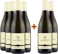 4+2 Refosco dal Peduncolo Rosso Friuli Isonzo DOC