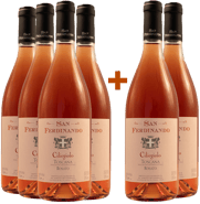4+2 Rosè Ciliegiolo Toscana IGP