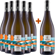 5+1 Coste a Preola Grillo Sicilia DOC BIO