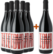 5+1 TDVR Nerello Mascalese 2023