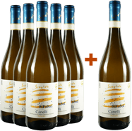 5+1 Canelli DOCG Moscato SiFaSol