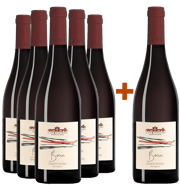 5+1 Bocia Veneto IGP BIO