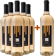 5+1 Pinot Grigio Venezie DOC