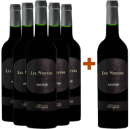 5+1 Les Noyers Madiran AOP