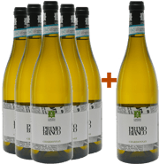 5+1 Primo Bianco Piemonte DOC