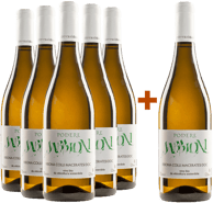 5+1 Ribona Colli Maceratesi DOC BIO