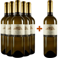 5+1 Pinot Grigio Le Marsure Friuli DOC