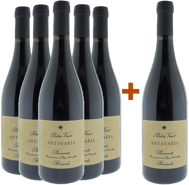5+1 Bonarda Antavařìa Piemonte DOC
