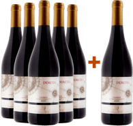 5+1 Demetra Rosso Calabria IGP