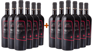 Il Quercetto Box Degustazione Storica 2015 Montepuciano D'Abruzzo DOC