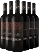 Cantina Coppi Box Degustazione Primitivo