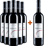 5+1 Bordocolle Rosso Merlot Cabernet Veneto IGP
