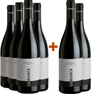 4+2 Nebbiolo Barolo DOCG