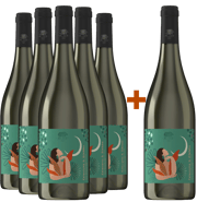 5+1 Catarratto Zibibbo Terre Siciliane IGP