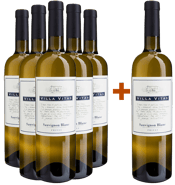 5+1 Sauvignon Friuli DOC