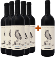 5+1 Assiolo Umbria IGP