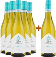 5+1 Le Piaole Verdicchio dei Castelli di Jesi Classico BIO